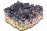 Dark Purple Fluorite Crystal Cluster - Cave-in-Rock, Illinois #322804-1